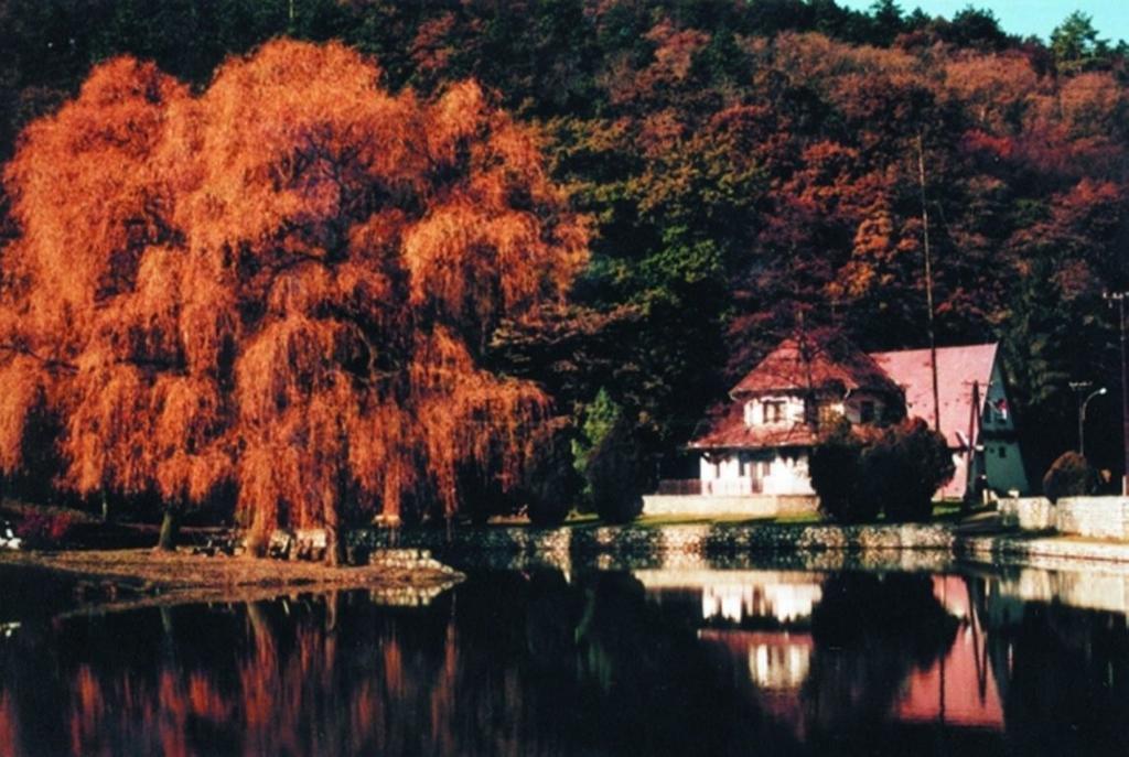 Hotel Sikfokut Noszvaj Εξωτερικό φωτογραφία